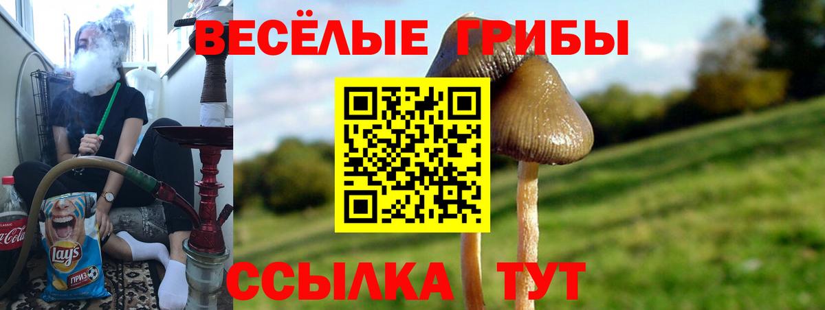 Назрань  Псилоцибиновые грибы ЛСД  Вход с VPN 